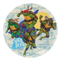 Ninja Turtles Teller 18 cm - 8 Stk.