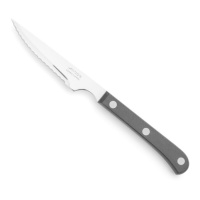 Steak Basic 11,5 cm schwarz Perlklinge Steakmesser - Arcos