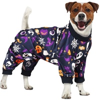 Halloween-Kostüm für Hunde