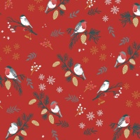 Xmas Birds Time Jerseystoff - Katia