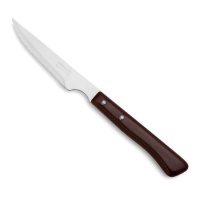 Steak Basic 11 cm Steakmesser mit perlmuttfarbener Nylonklinge - Arcos